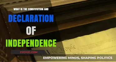 Foundations of Freedom: Constitution & Declaration Explained