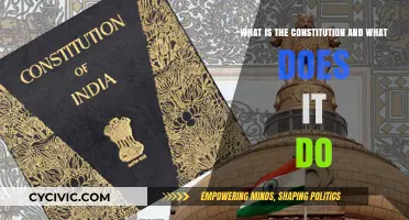 Understanding the Constitution: Power, Rights, and Laws