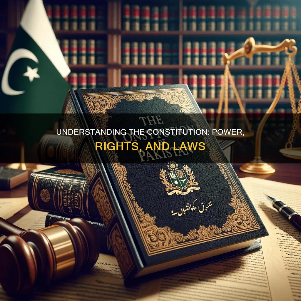 what is the constitution and what does it do