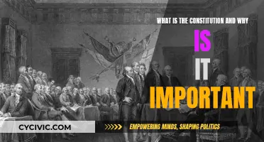 The Constitution: Our Nation's Foundation and Safeguard