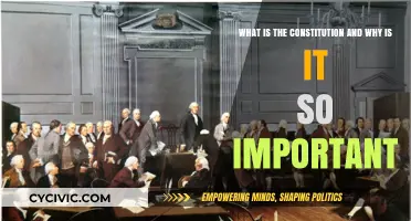 The Constitution: Our Nation's Vital Framework