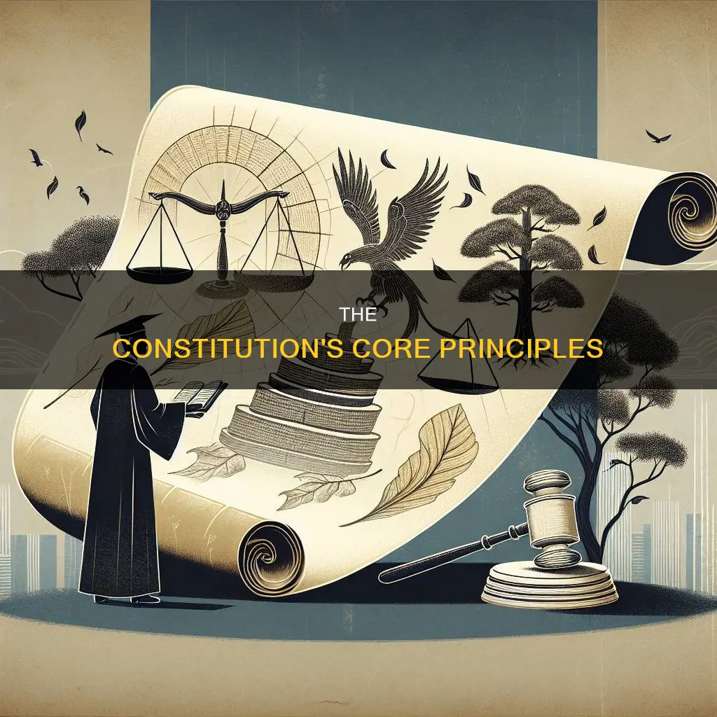 what is the constitution based on the concept of
