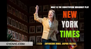 The Constitution on Broadway: A New York Times Review