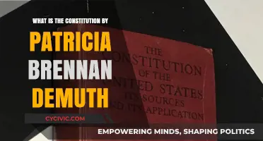 Understanding the Constitution: A Guide by Patricia Brennan Demuth