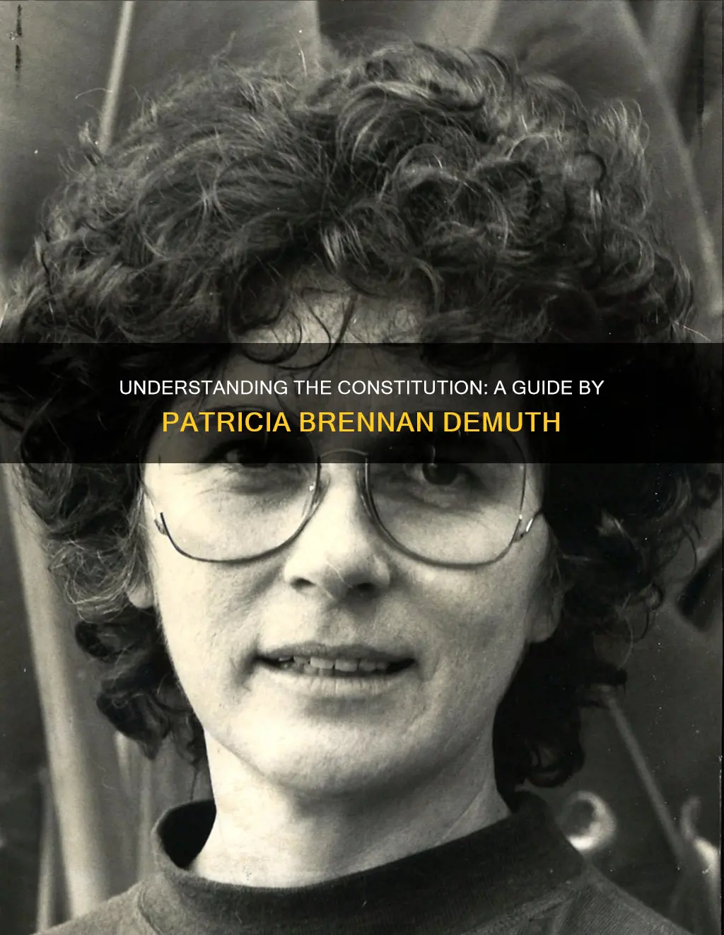 what is the constitution by patricia brennan demuth