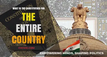 The Constitution: Our Country's Foundation and Future
