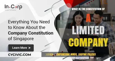 Understanding the Framework of Limited Companies