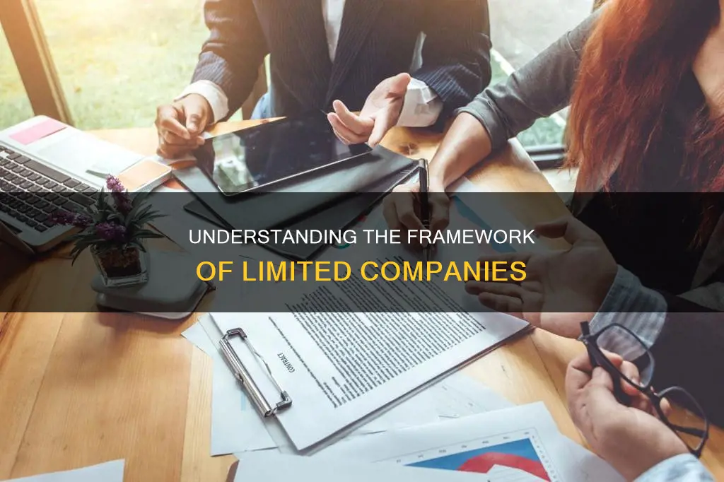 what is the constitution of a limited company