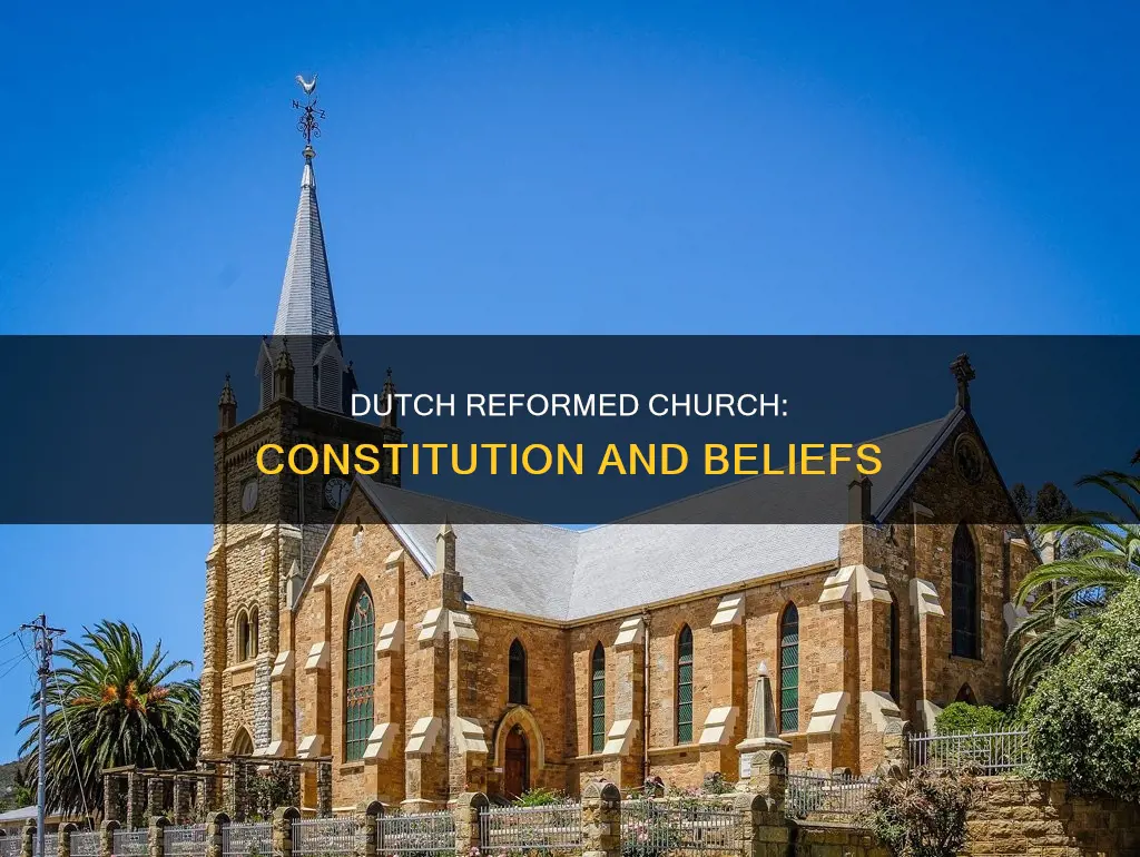what is the constitution of the dutch reformed church