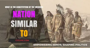 Iroquois Constitution: A Democratic Inspiration