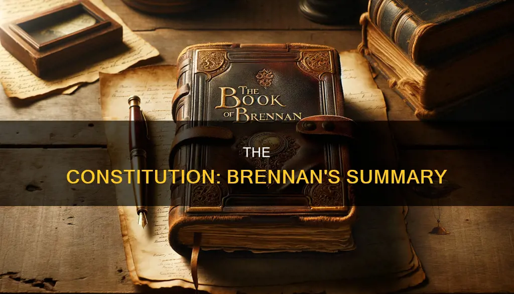what is the constitution patricia brennan book summary