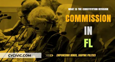Florida's Constitution Revision Commission: What You Need to Know