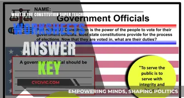 Constitution Basics: Super Teacher's Guide