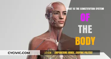 The Body's Constitution: A Systemic Guide