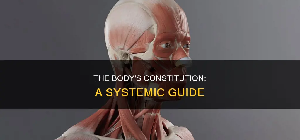 what is the constitution system of the body