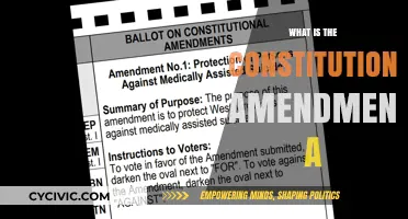 Understanding Constitutional Amendment A: