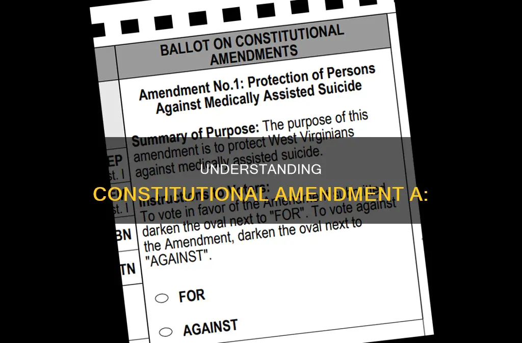 what is the constitutional amendment a