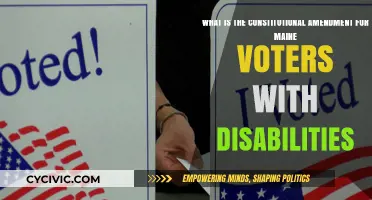 Maine Voters: Disability Rights and the Constitution