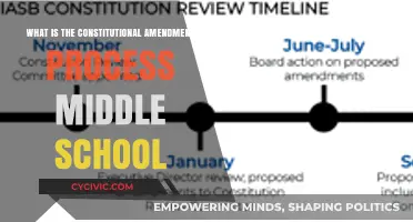 Amending the Constitution: A Middle School Guide