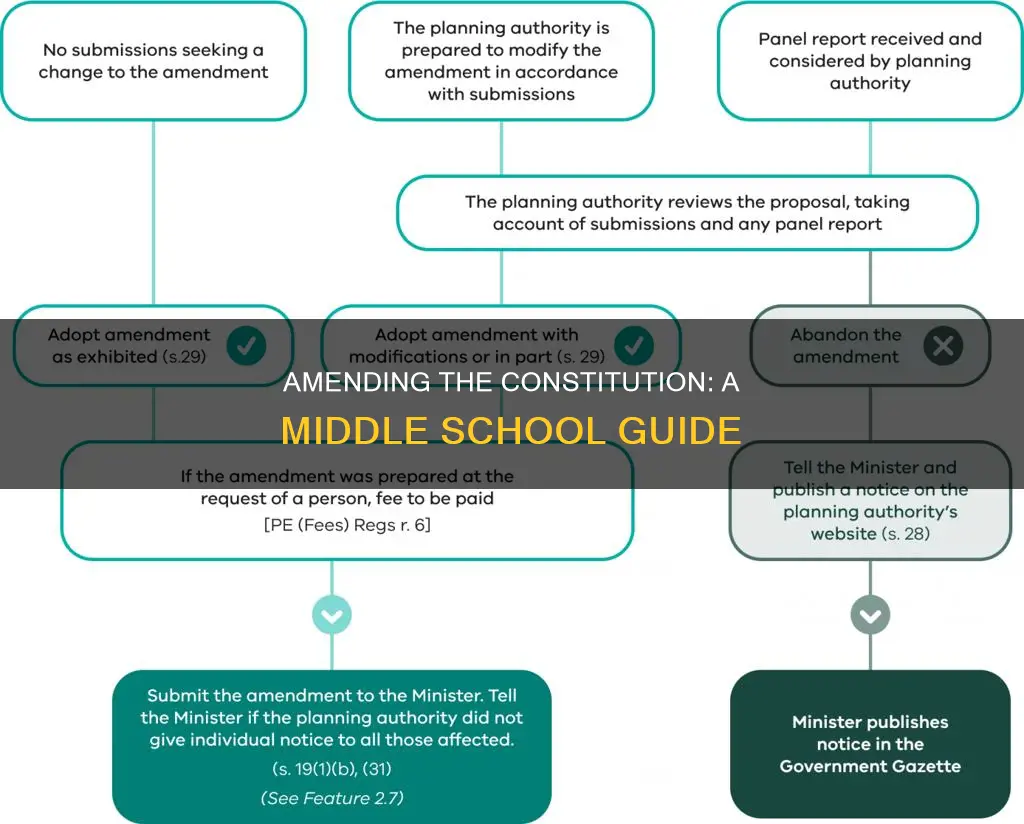 what is the constitutional amendment process middle school