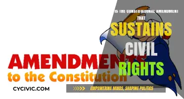 Civil Rights: Constitutional Amendments Explained