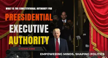 Presidential Powers: Constitutional Authority Explained