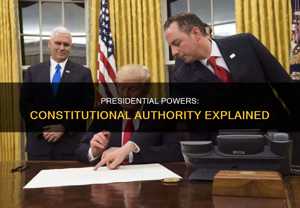 what is the constitutional authority for preesidential executive authority