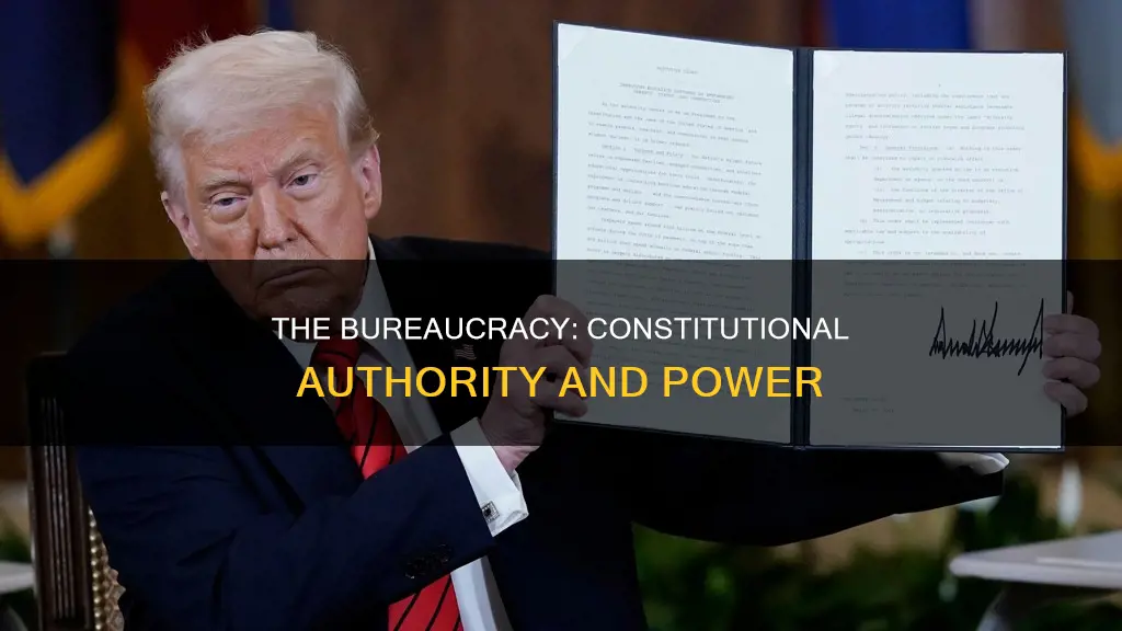 what is the constitutional authority for the bureaucracy