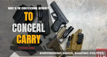 The Right to Bear Arms: Concealed Carry and the Constitution