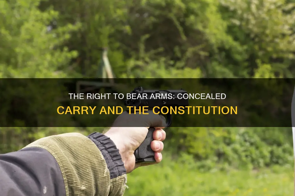 what is the constitutional authority to conceal carry