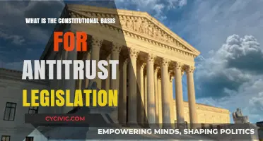 Antitrust Laws: Constitutional Foundation and Rationale