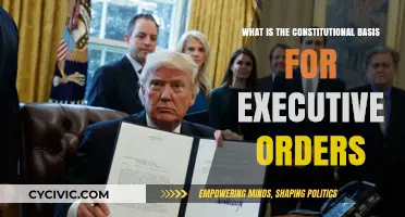 Executive Orders: Constitutional Roots and Reach