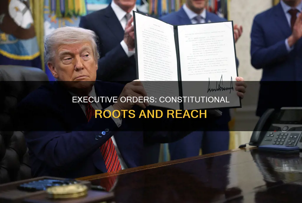 what is the constitutional basis for executive orders