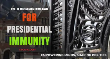 Presidential Immunity: The Constitutional Shield