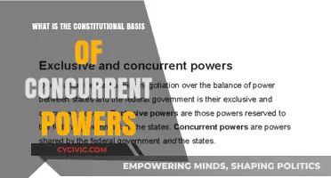 Understanding Concurrent Powers: Constitutional Basis Explained