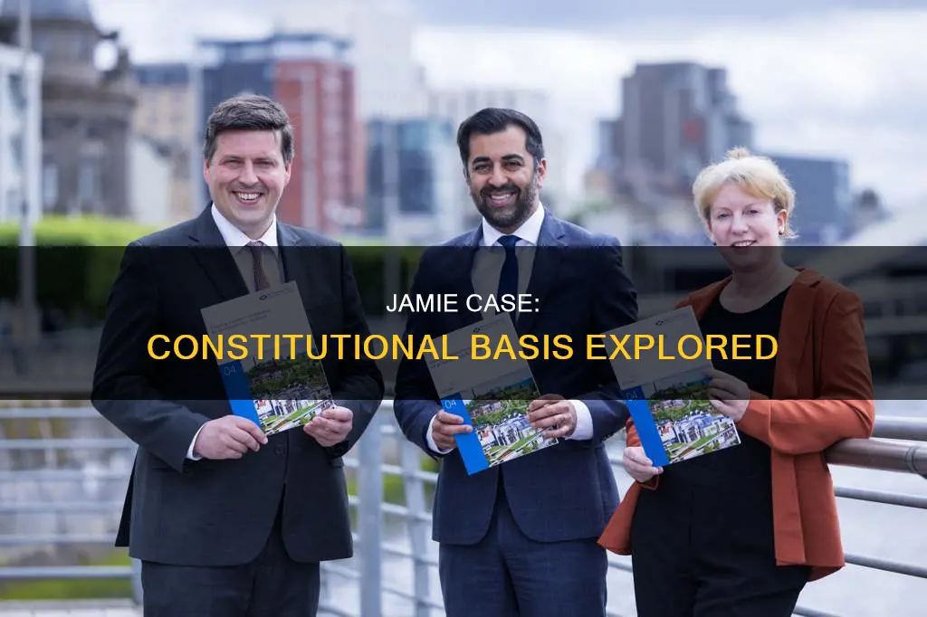 what is the constitutional basis of jamie case