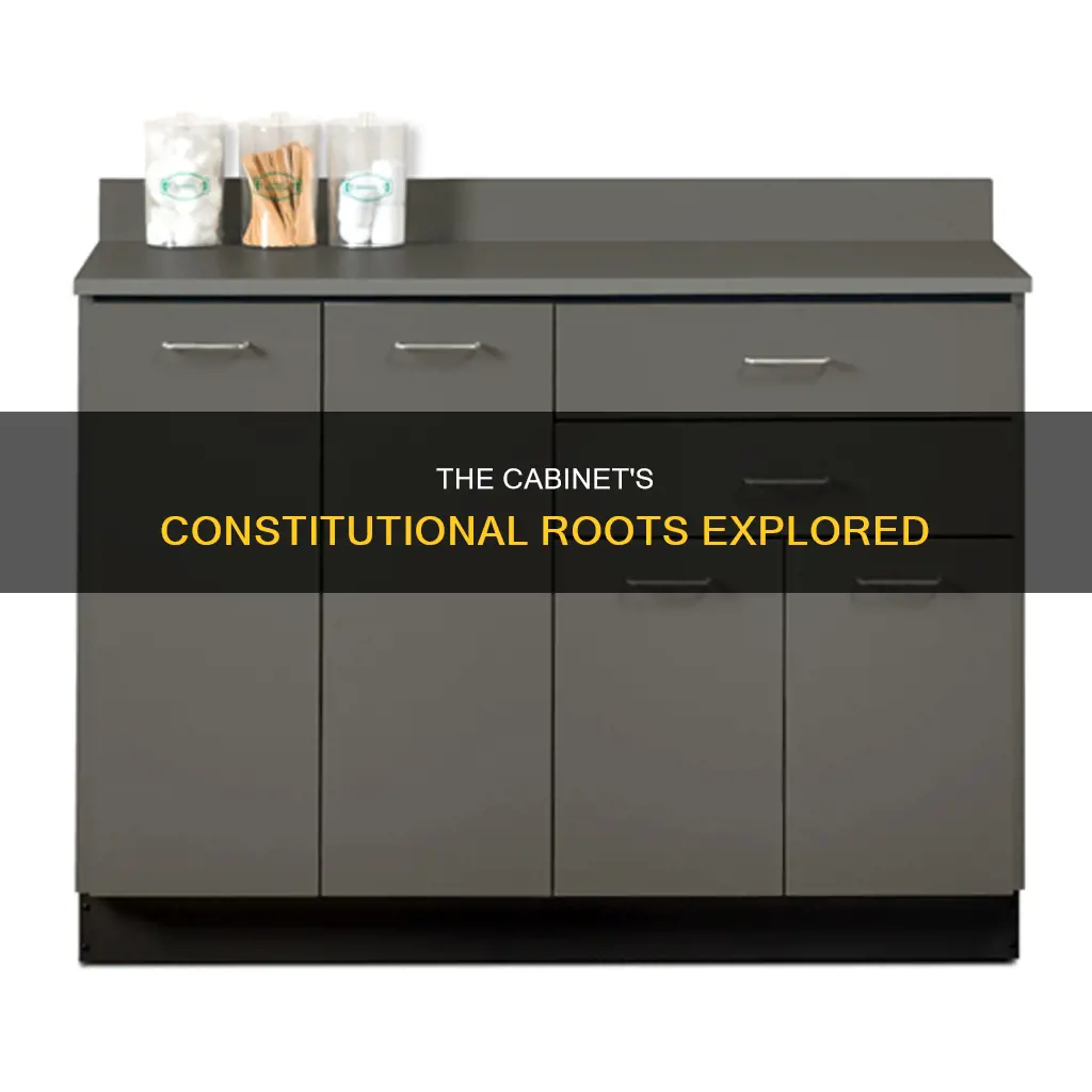what is the constitutional basis of the cabinets