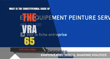 The VRA '65: Constitutional Foundation