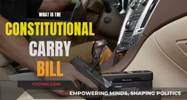 Constitutional Carry Bill: Understanding the Right to Bear Arms