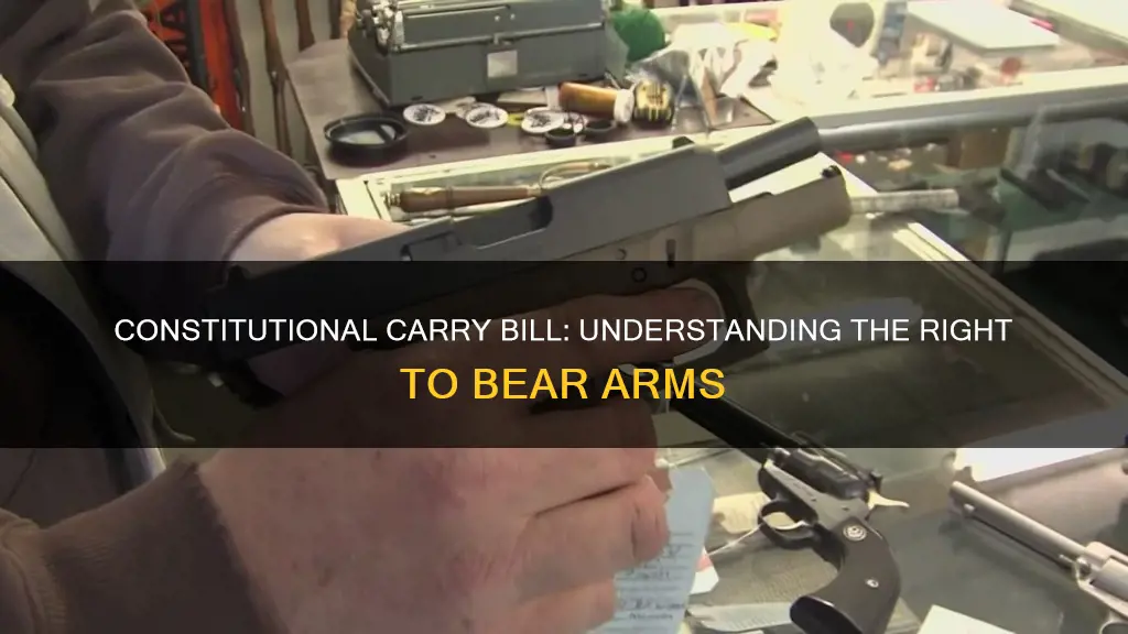 what is the constitutional carry bill