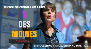 Tinker v. Des Moines: Understanding the Constitutional Clause