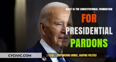 Presidential Pardons: Constitutional Foundation Explained
