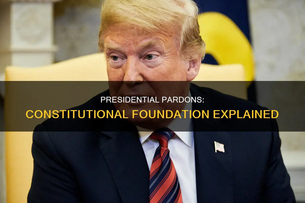 what is the constitutional foundation for presidential pardons