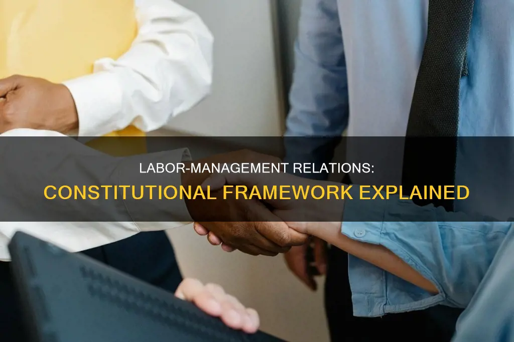 what is the constitutional framework of the labor management relation