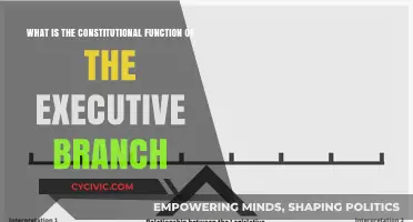 Executive Branch: Powers and Limits