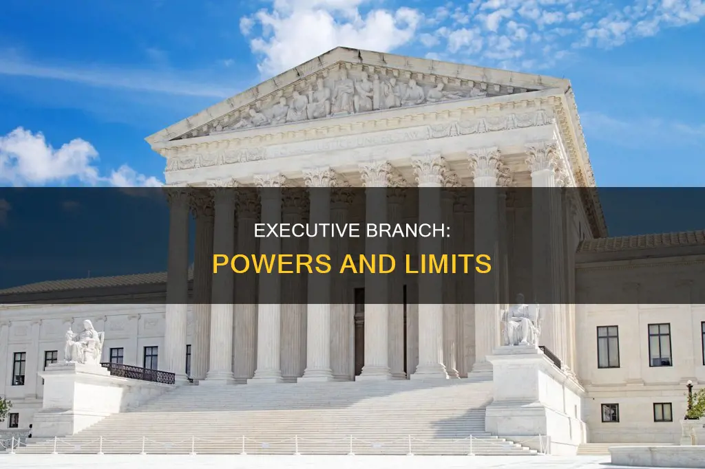 what is the constitutional function of the executive branch