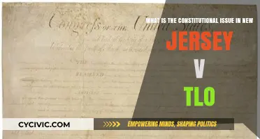 New Jersey v. TLO: The Student Privacy Case