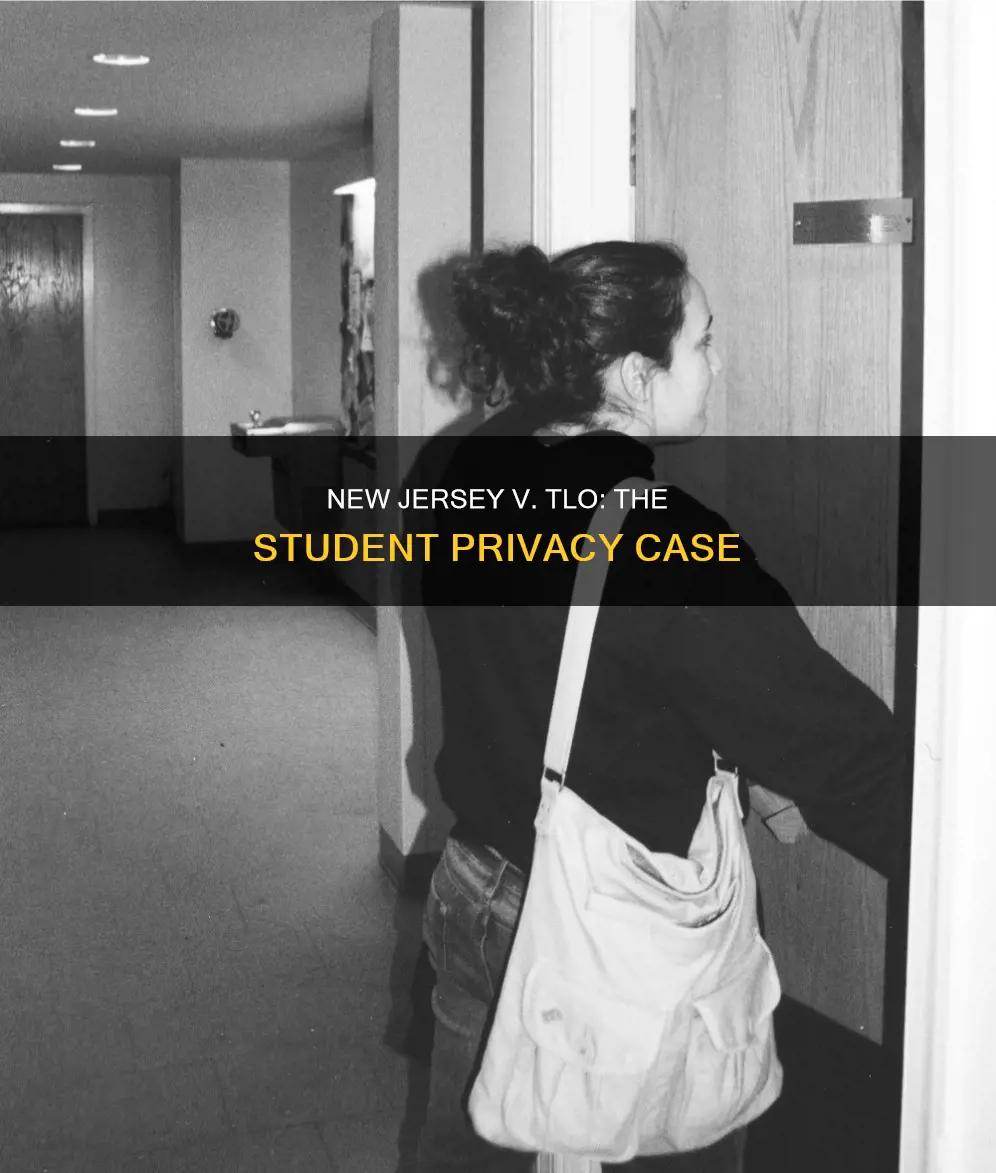 what is the constitutional issue in new jersey v tlo