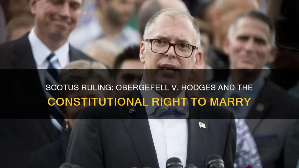 what is the constitutional issue in obergefell v hodges