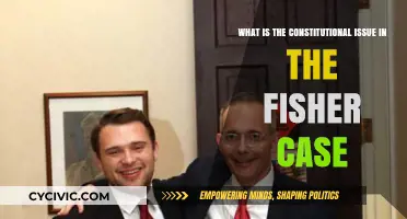 Fisher Case: Constitutional Challenge and Affirmative Action